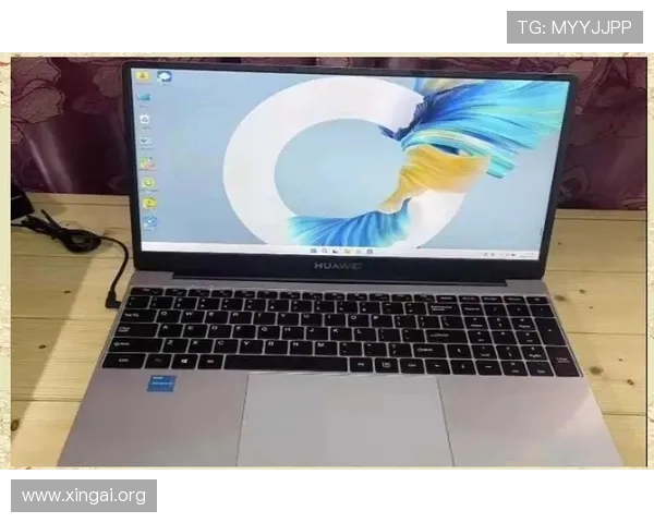 澳门银河手机版会员登录入口全面指南帮助玩家轻松进入账号享受优质游戏体验