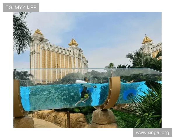 澳门银河galaxy赌场攻略指南,帮助玩家掌握最新的游戏技巧与赢取丰厚奖金的方法